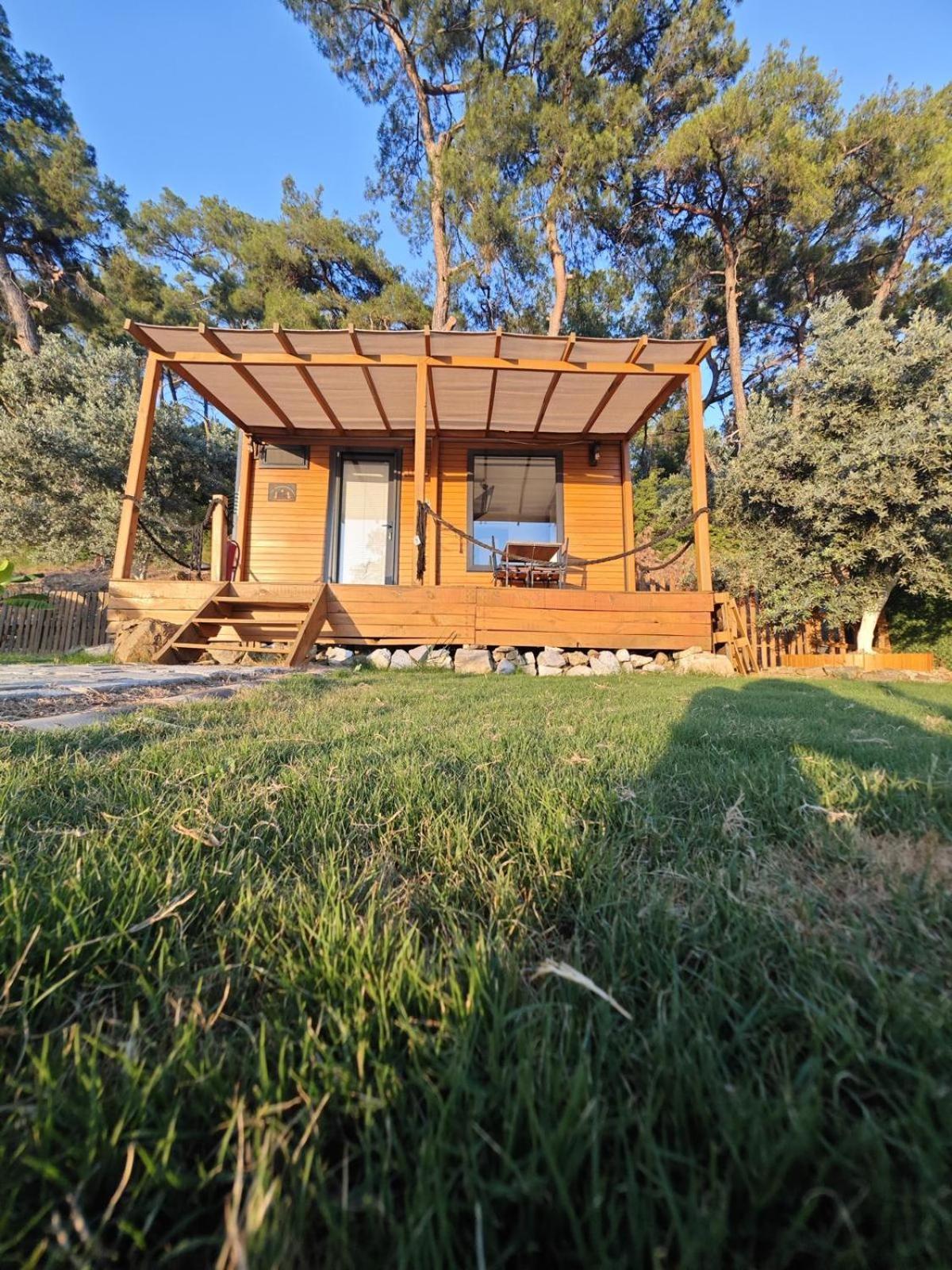 Отель Tiny Mini House Даламан Экстерьер фото