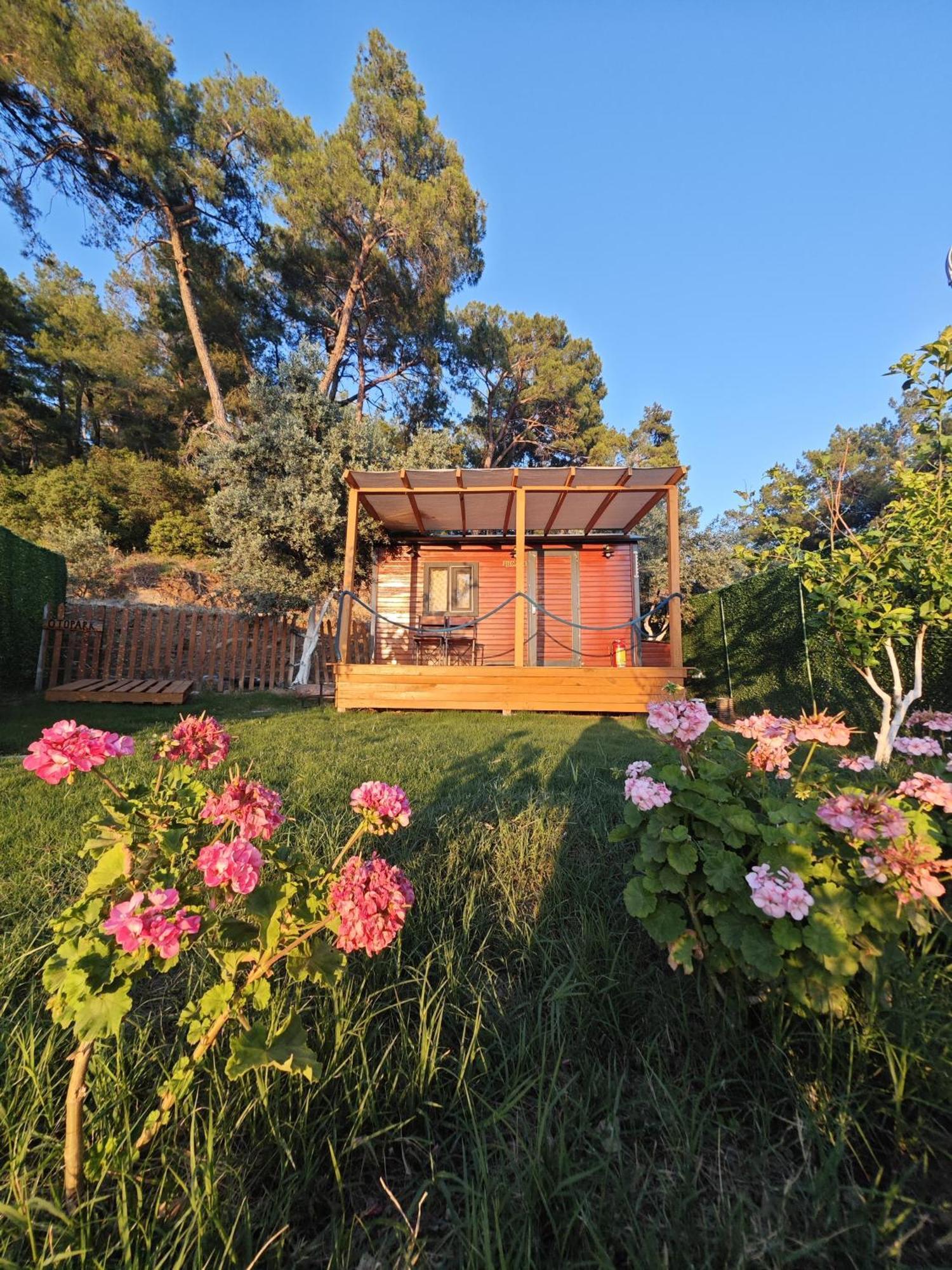 Отель Tiny Mini House Даламан Экстерьер фото